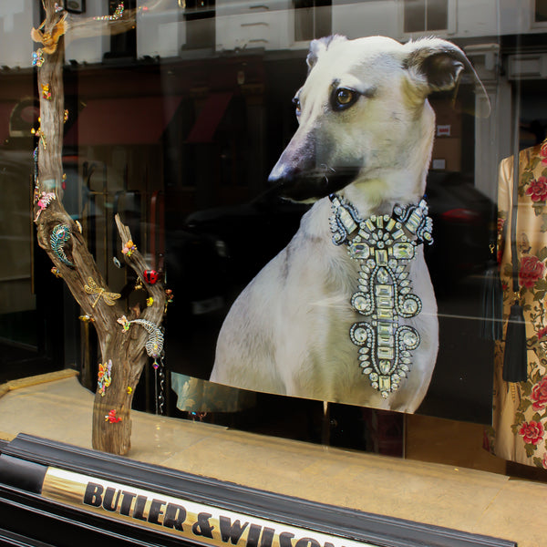 Behind the 'Dogs' window display with Liddie Holt