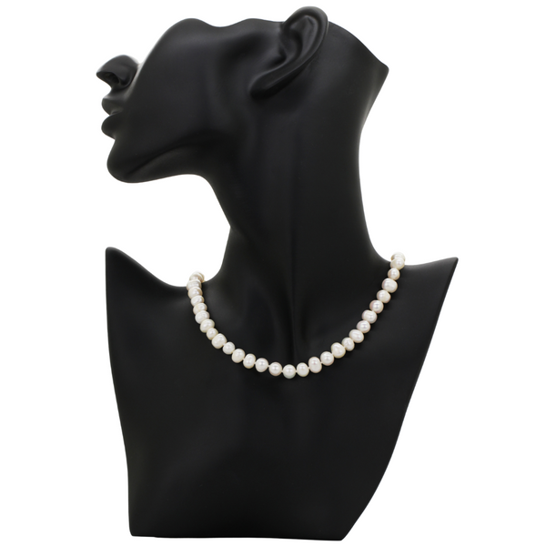 Delicate Shell Pearl Necklace