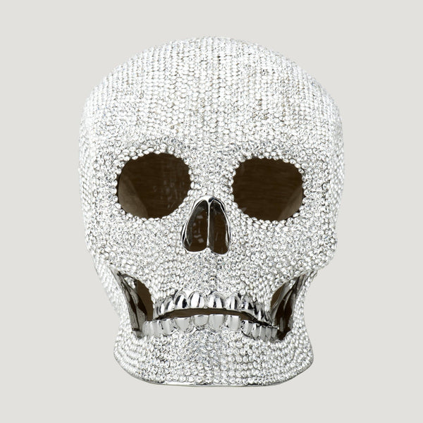 Large Crystal Skull Head with Box