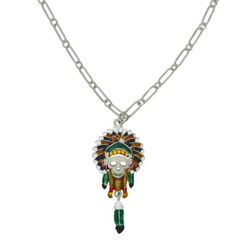 Native American Skull with Feather Necklace