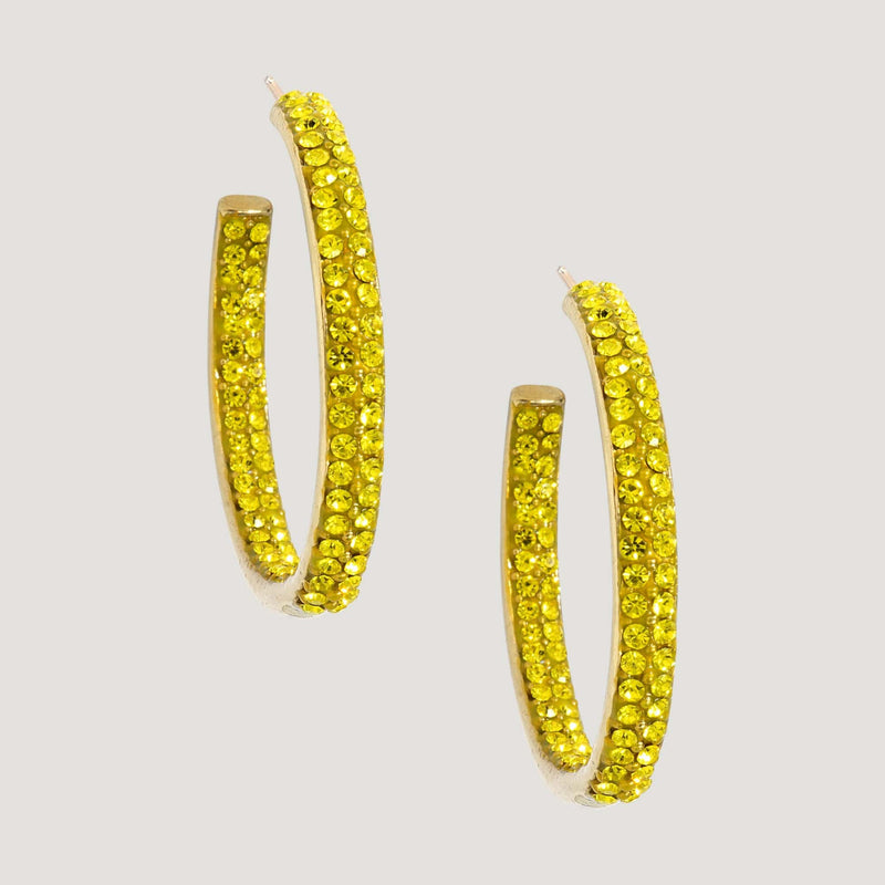 Small Crystal Hoop Earring