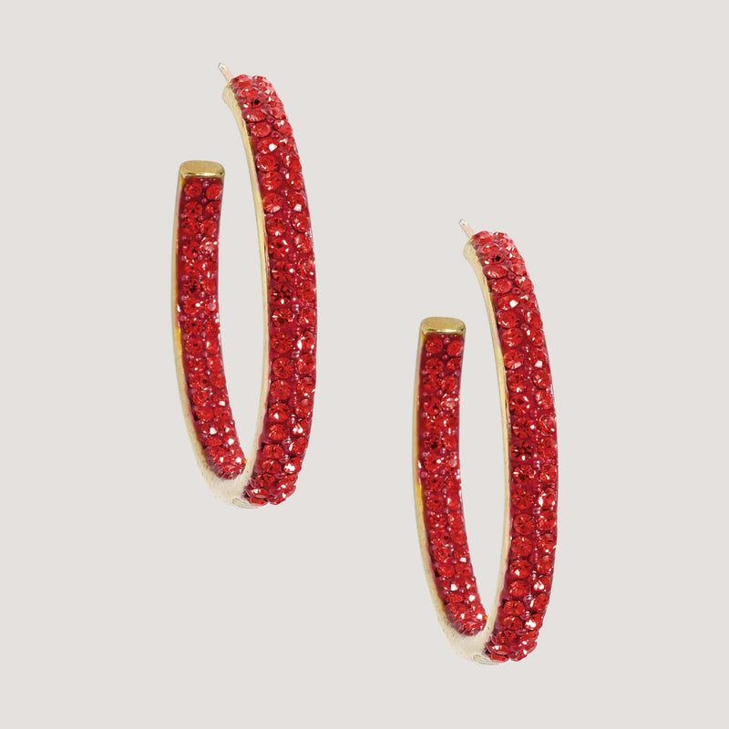 Small Crystal Hoop Earring